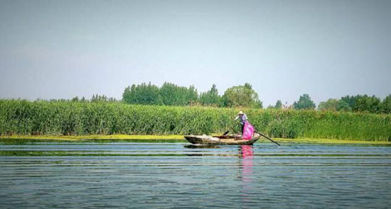 美麗鄉(xiāng)村規(guī)劃,美麗鄉(xiāng)村設(shè)計,鄉(xiāng)村旅游規(guī)劃,鄉(xiāng)村旅游設(shè)計