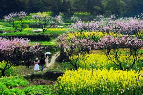 田園綜合體規(guī)劃,田園綜合體規(guī)劃,農(nóng)業(yè)旅游規(guī)劃